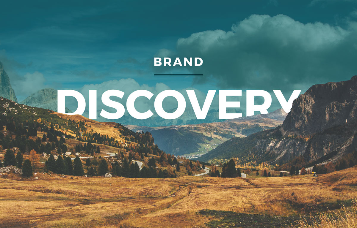 Brand-Discovery